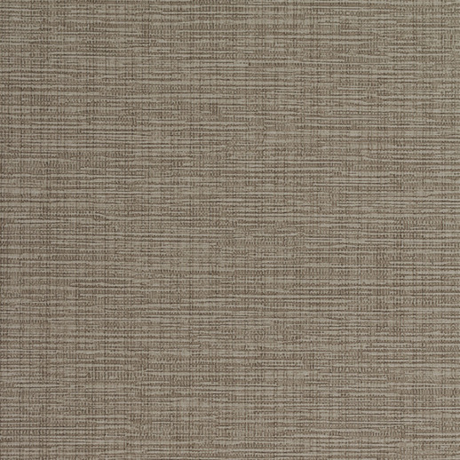  Esquire Cayman Antler