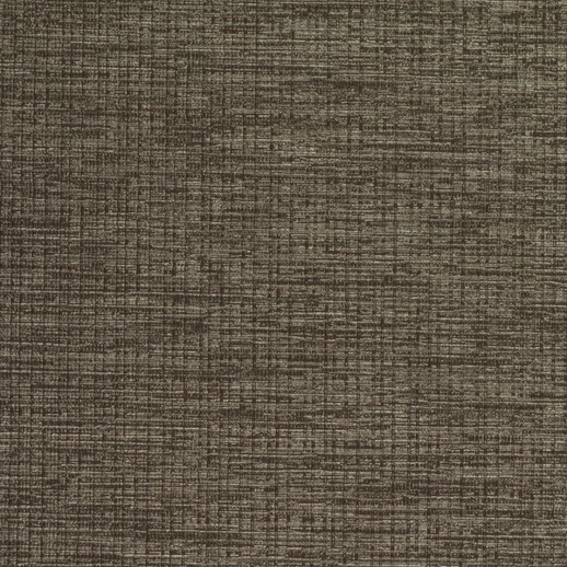  Esquire Cayman Coyote