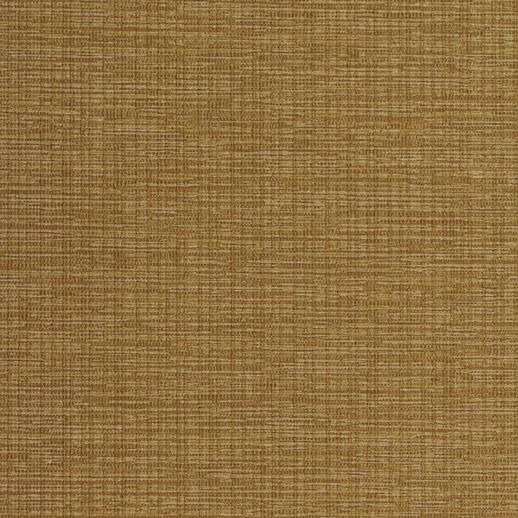  Esquire Cayman Amber