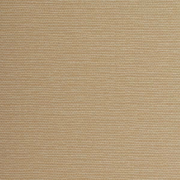 Featured Product Image