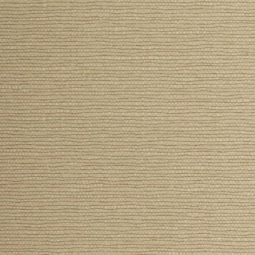  Esquire Addison Amber