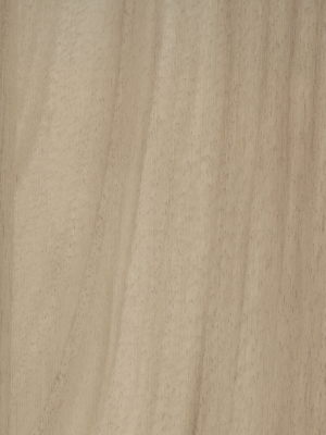 Nomad Ivory Collection