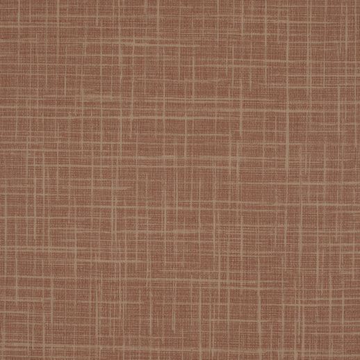  Duratec Spartan Pumpkin