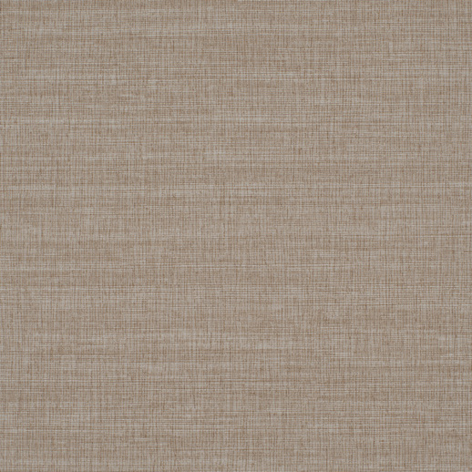  Duratec Intrepid Latte