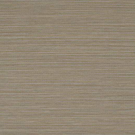  Duratec Spectra Brindle