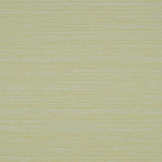  Duratec Spectra Willow