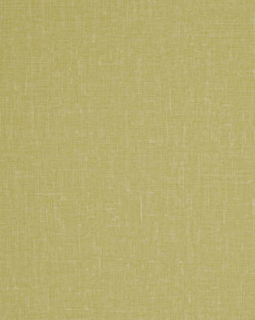  Duratec Hollis Basil