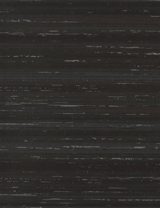  Esquire Echelon Dark Roast