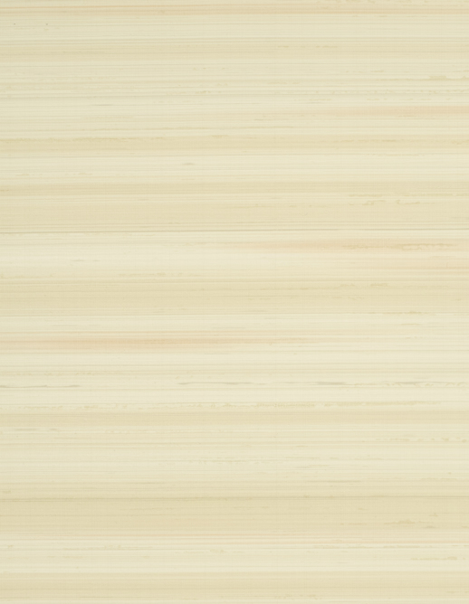  Esquire Echelon Sunburst