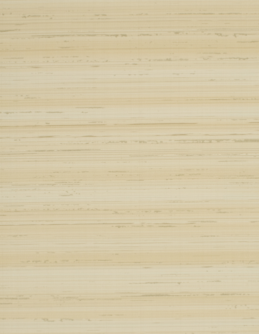  Esquire Echelon Salm On