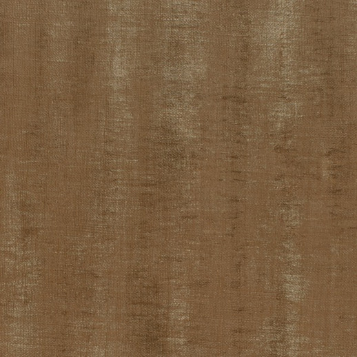  Esquire Fleet Conch Shell