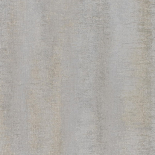  Esquire Fleet Silver Dollar