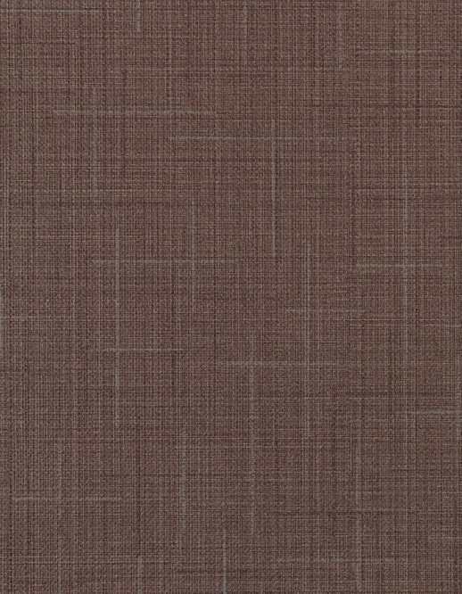  Esquire Giotto Barista