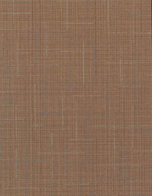  Esquire Giotto Adobe