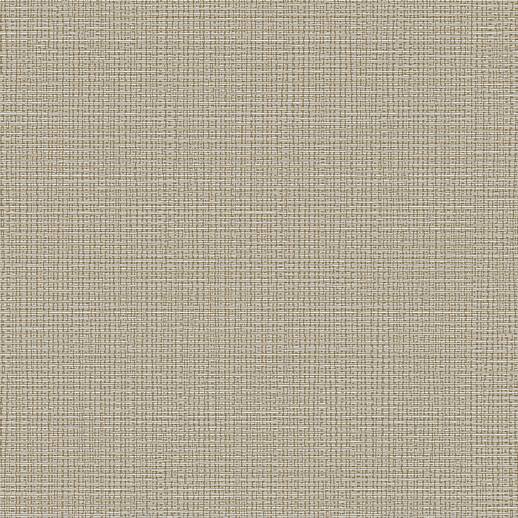  Esquire Gold Rush Sandbar