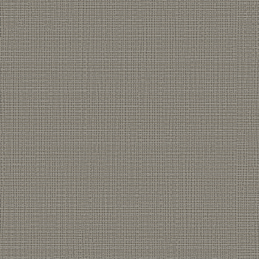  Esquire Gold Rush Sluice