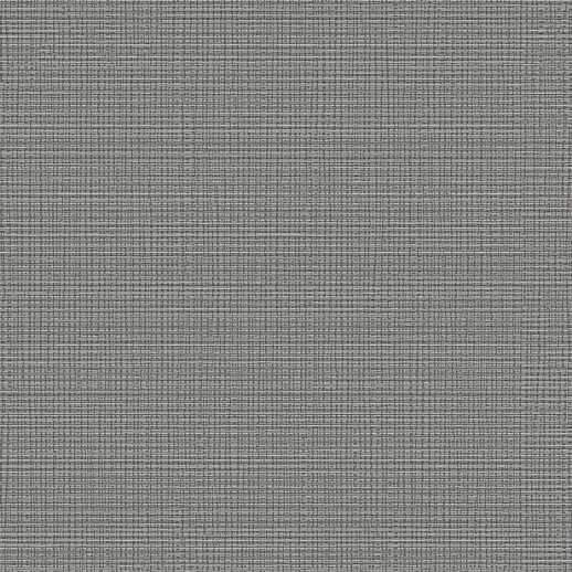  Esquire Gold Rush Riverboat