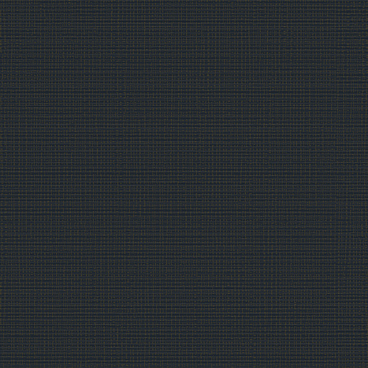  Esquire Gold Rush Seawater