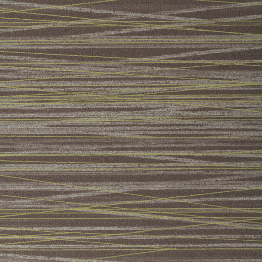  Esquire Havana Mosswood