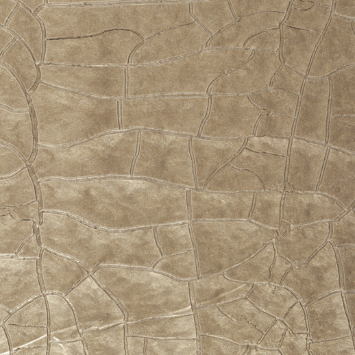  Handcrafted Amiria French Horn