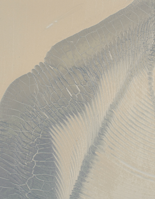  Handcrafted Starling Ice Cap