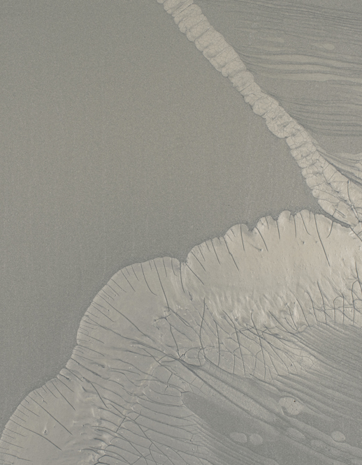  Handcrafted Starling Shimmer