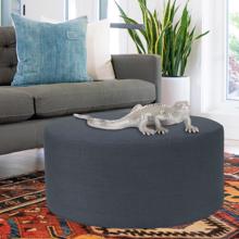 Bright Nickel Plated Lizard