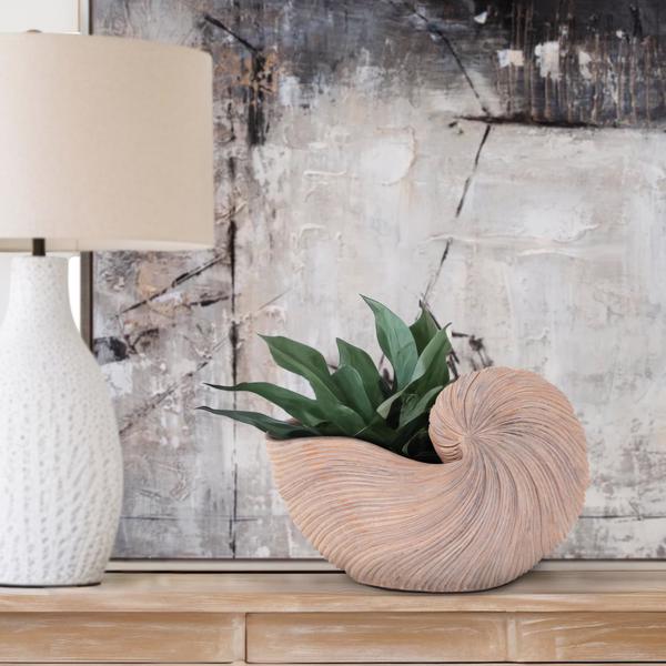 Vinyl Wall Covering Accessories Accessories Nautilus Shell