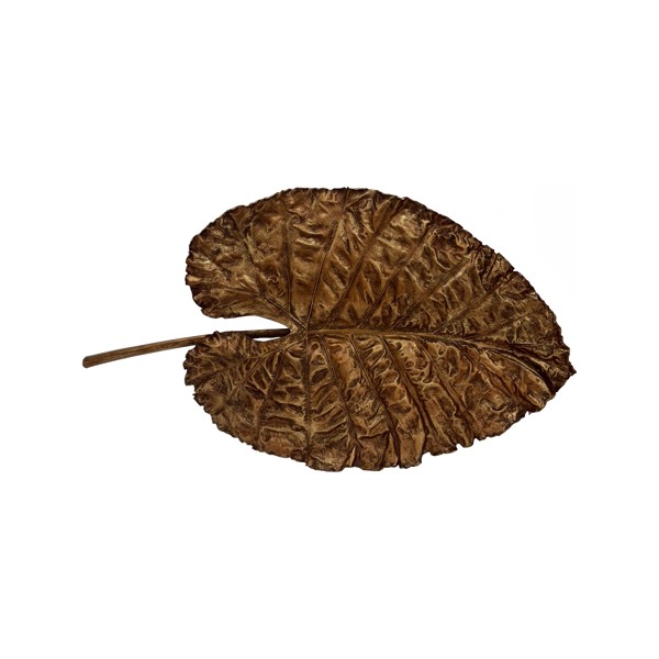 Featured Product Image