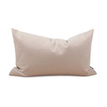 Pillow 14 x 22 Bella Sand - Down  Insert