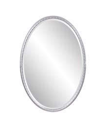 Laid Rope Silver Oval Mirror