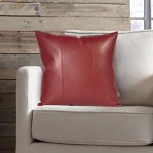 20 x 20 Pillow Avanti Apple