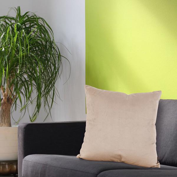 Featured Product Image