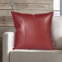 24 x 24 Avanti Apple Pillow