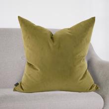 24 x 24 Bella Moss Pillow - Poly Insert