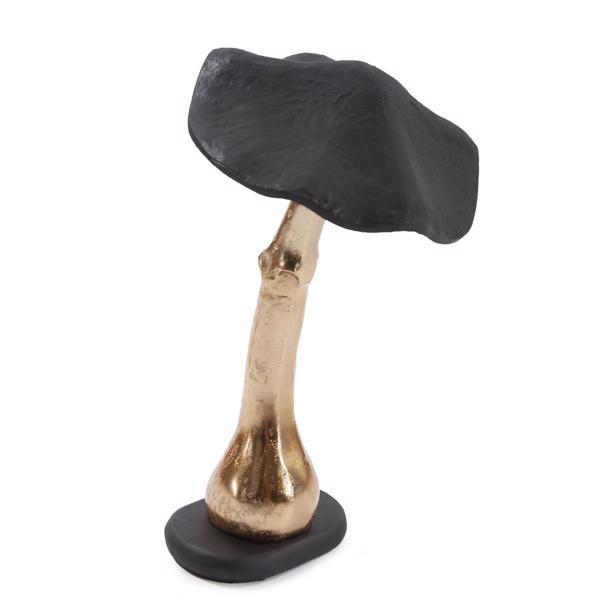 Featured Product Image