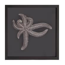 Star Fish Framed Art