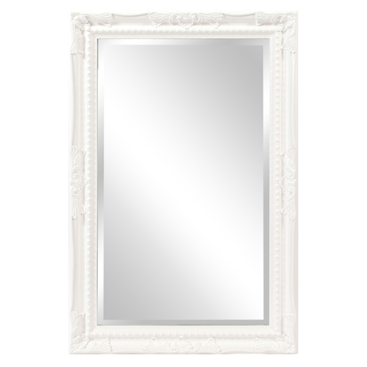  Traditional Traditional Queen Ann Mirror