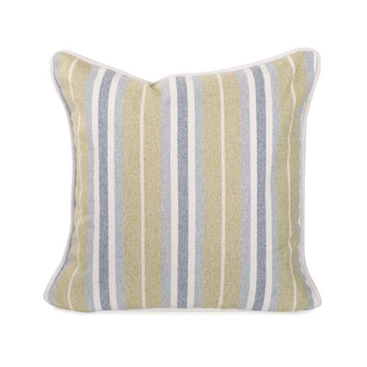  Outdoor Outdoor Indoor/Outdoor Pillow 24 x 24 Dune Moss