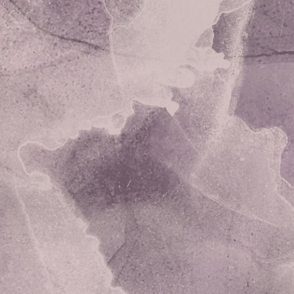 Vinyl Wall Covering Invinci Iris Wisteria Mylar