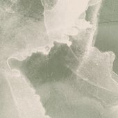 MIR1412 Sample