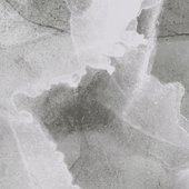 MIR1413 Sample