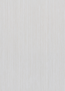 In Demand 5 Tendril Room Scene