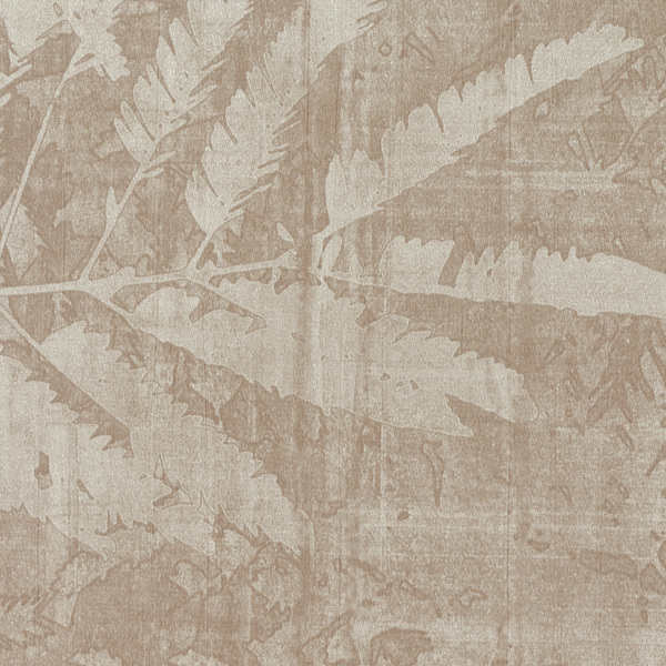 Featured Product Image