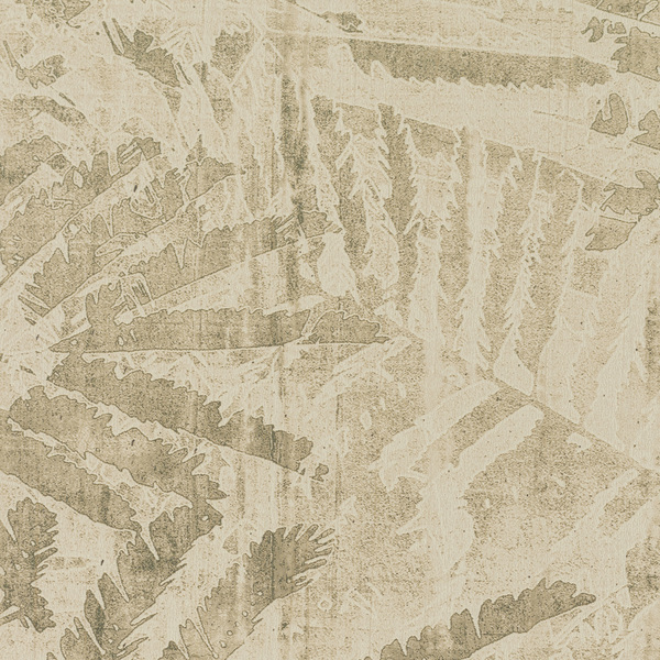 Featured Product Image