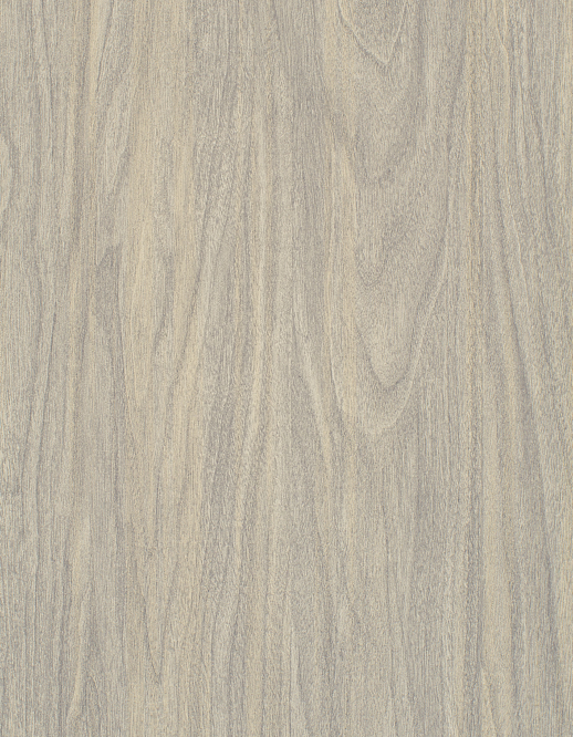  Esquire Kyrie Driftwood