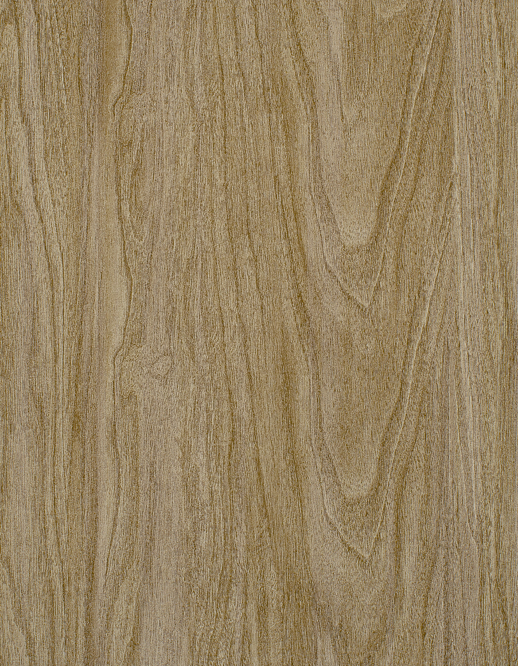  Esquire Kyrie Honeycomb