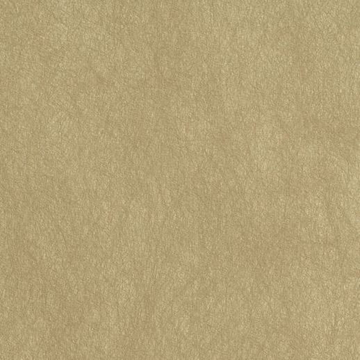  Esquire Harrison Sand Shell