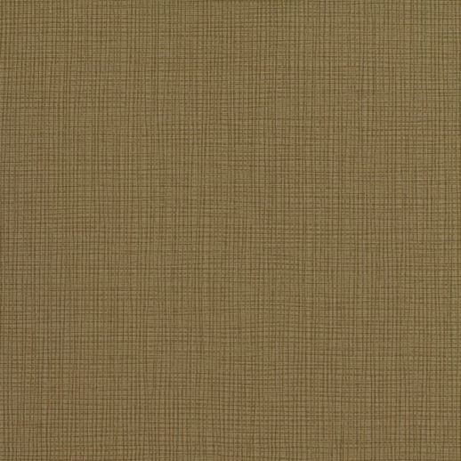  Esquire Warren Dried Basil