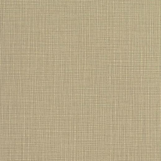  Esquire Warren Morning Chill